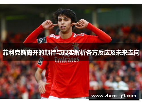 菲利克斯离开的期待与现实解析各方反应及未来走向