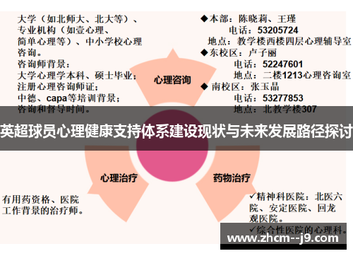 英超球员心理健康支持体系建设现状与未来发展路径探讨