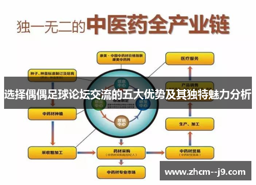 选择偶偶足球论坛交流的五大优势及其独特魅力分析