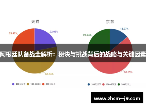 阿根廷队备战全解析：秘诀与挑战背后的战略与关键因素