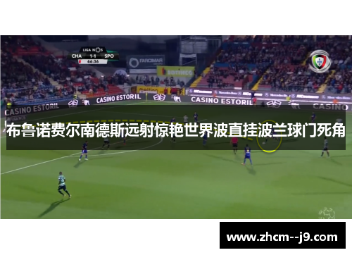 布鲁诺费尔南德斯远射惊艳世界波直挂波兰球门死角