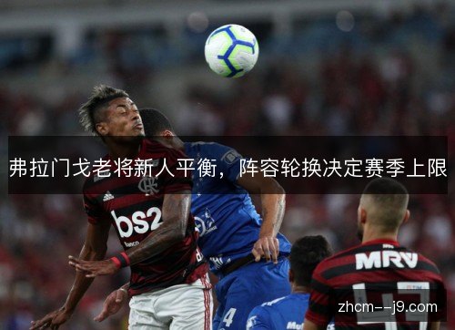 弗拉门戈老将新人平衡，阵容轮换决定赛季上限
